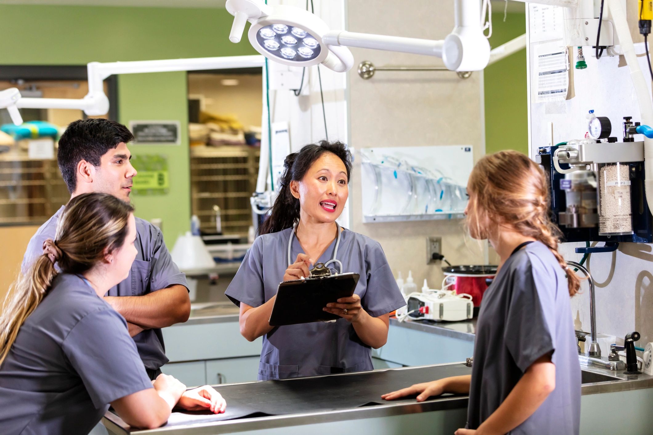 Veterinary team discussing operations at an animal hospital
